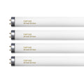 20 Watt T12 Fluorescent Tube Light Bulb Daylight 4 Count W1430