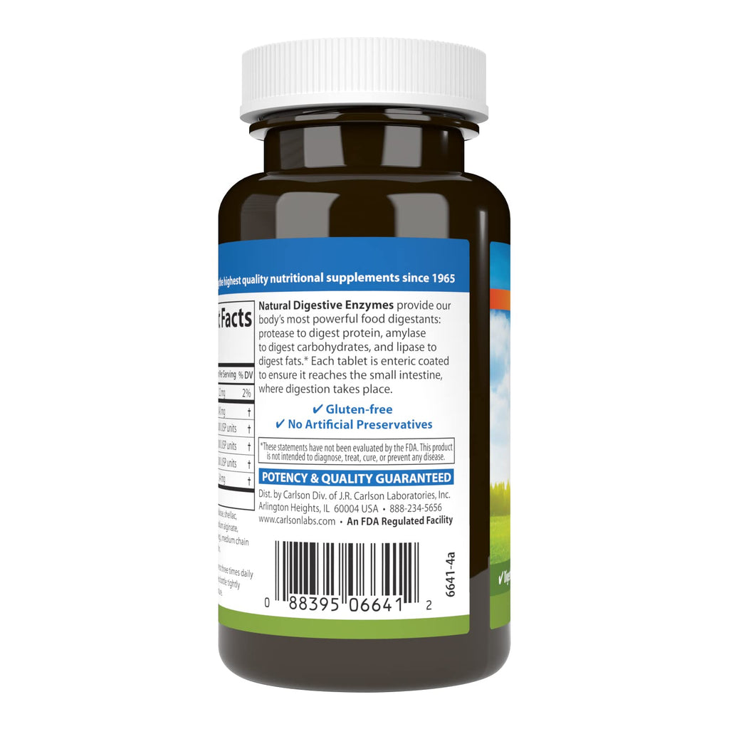 Natural Digestive Enzymes, 100 Tablets W4167