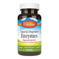 Natural Digestive Enzymes, 100 Tablets W4167