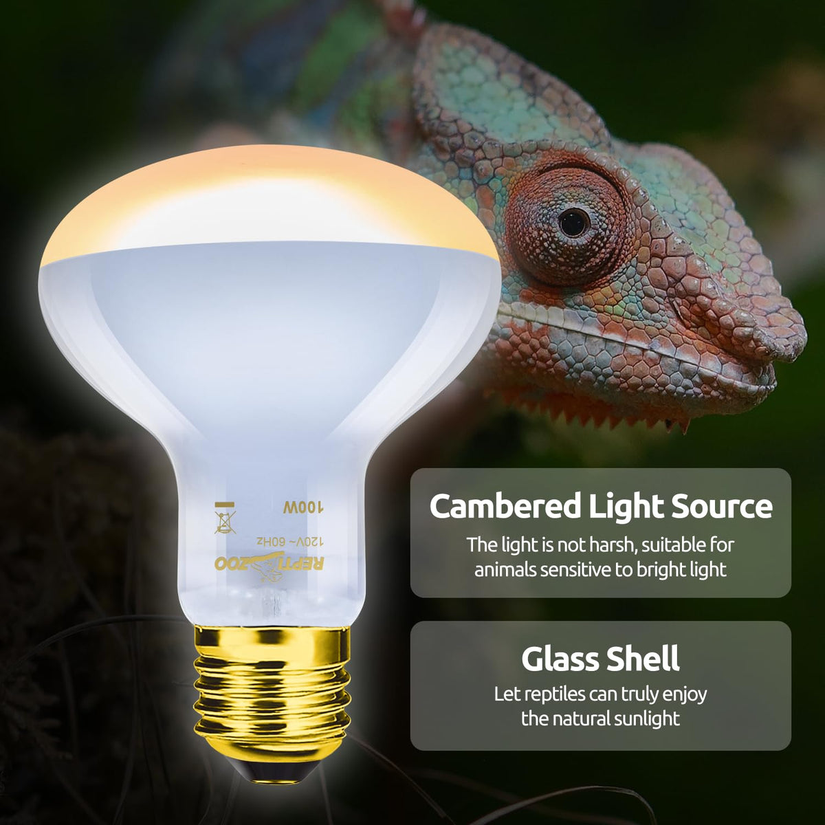 Reptile Heat Lamp Combo Pack with Dual Light Fixture D458347