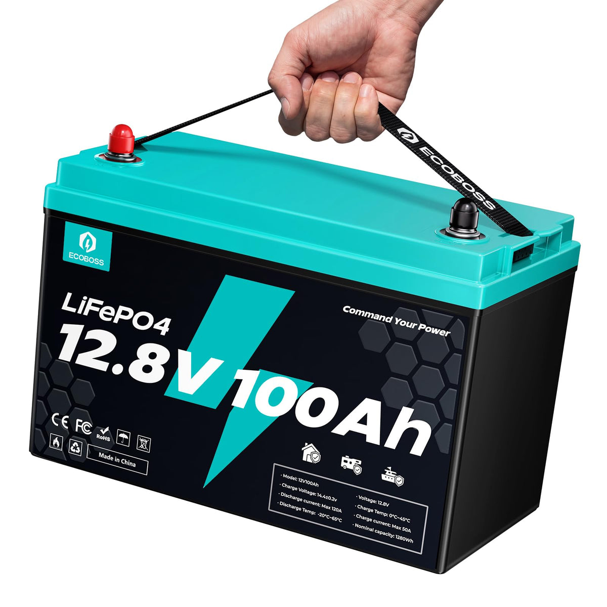 12V 100Ah LiFePO4 Deep Cycle Lithium Battery V743871