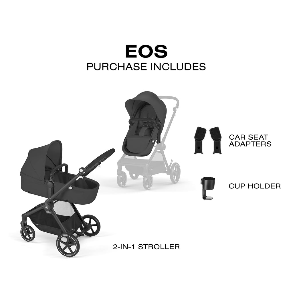 2-in-1 Baby Stroller Z206