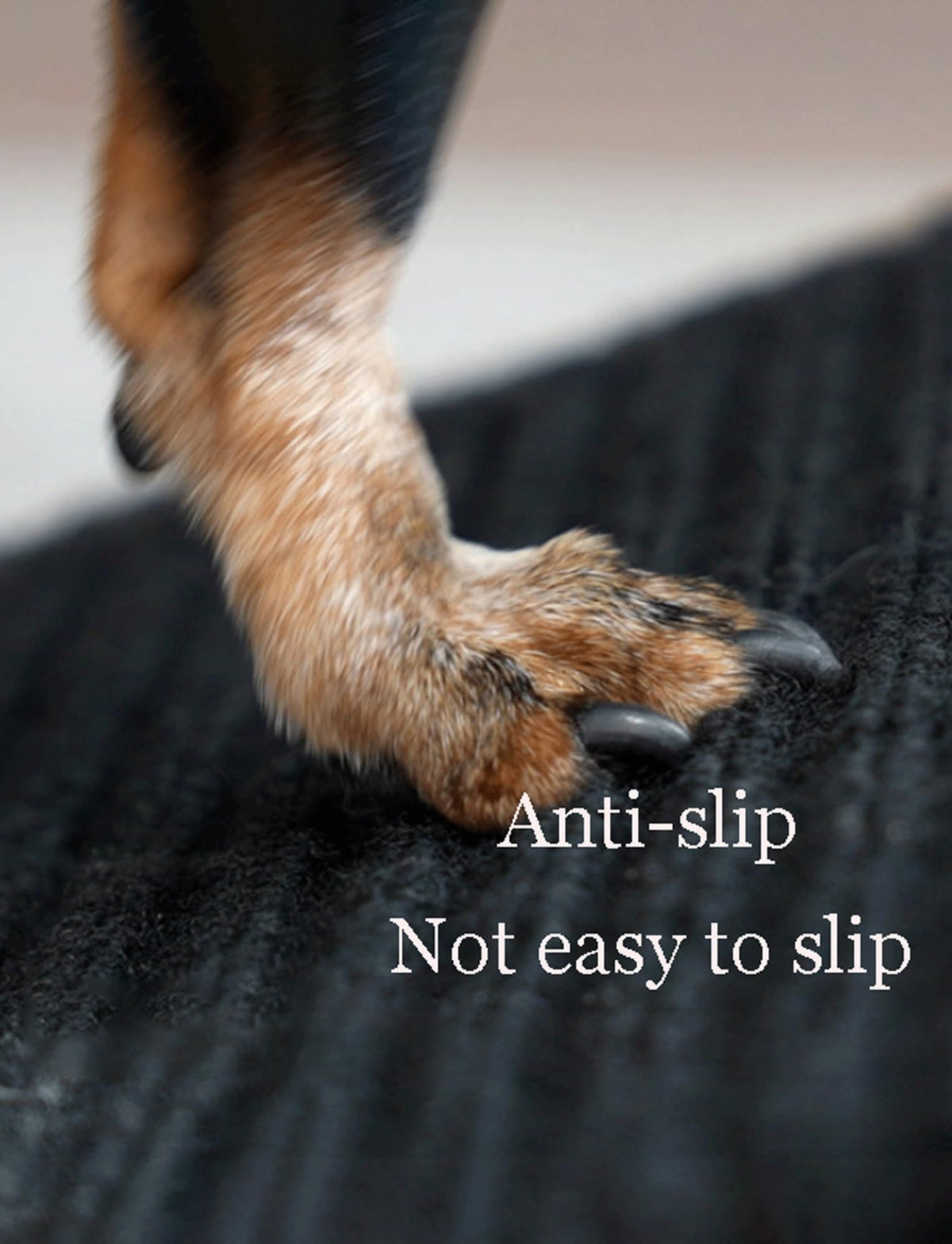 Non-Slip Lightweight Portable Pet Ramp V320793