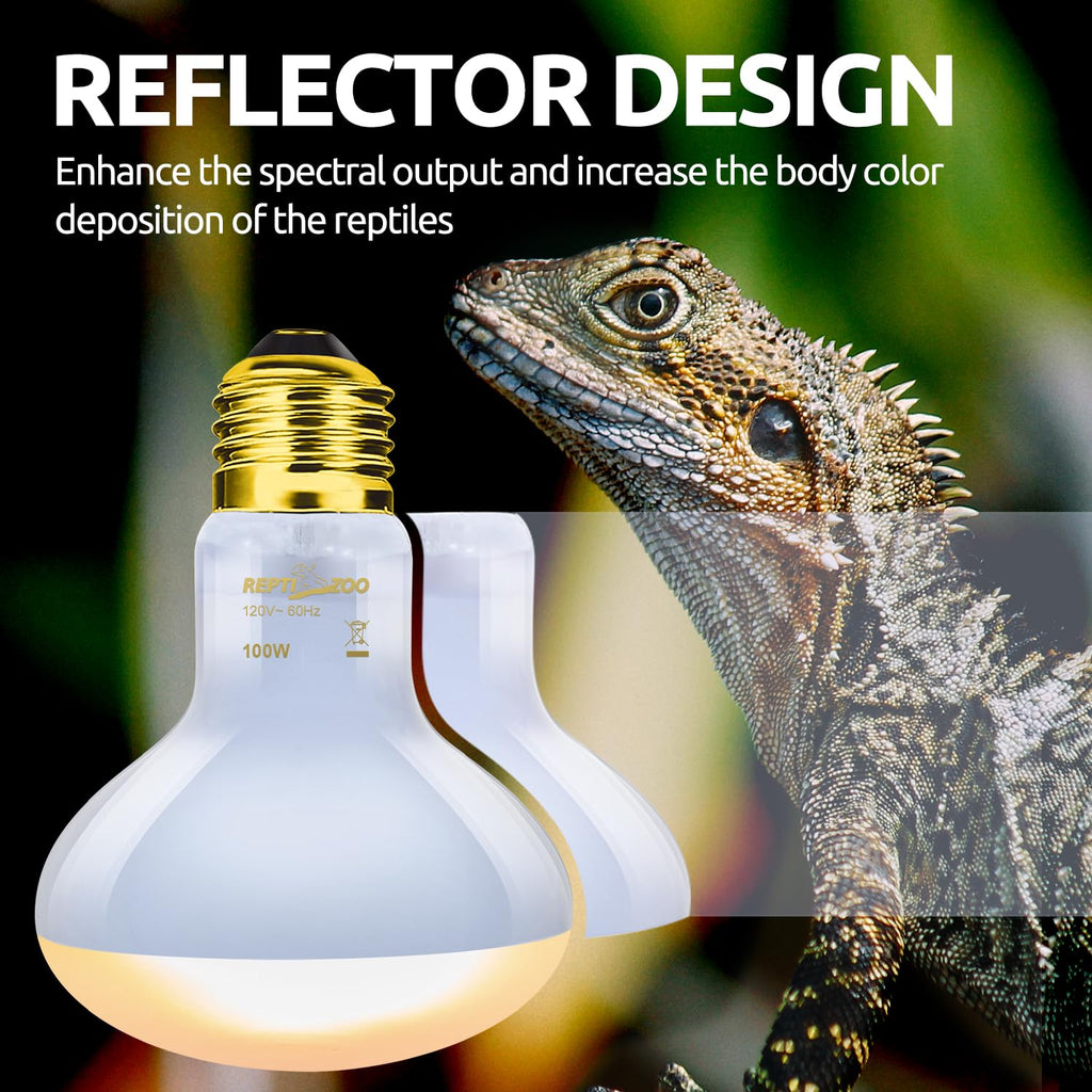 Reptile Heat Lamp Combo Pack with Dual Light Fixture D458347