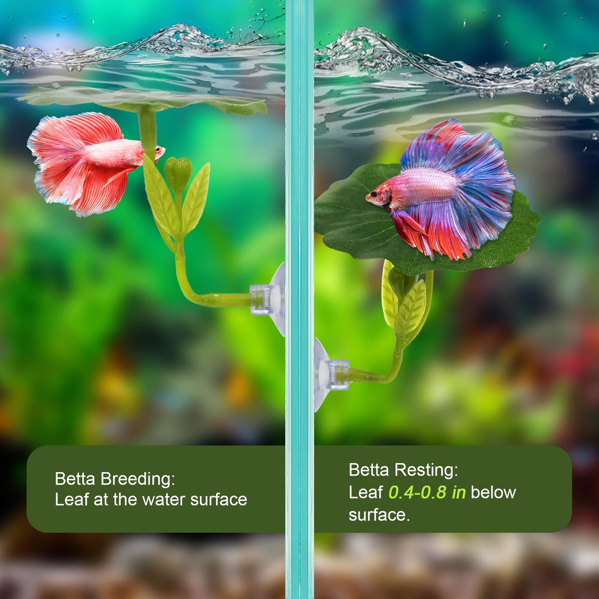 Betta Hammock & Fish Toys Set, Aquarium Decor Plastic Plants A2703
