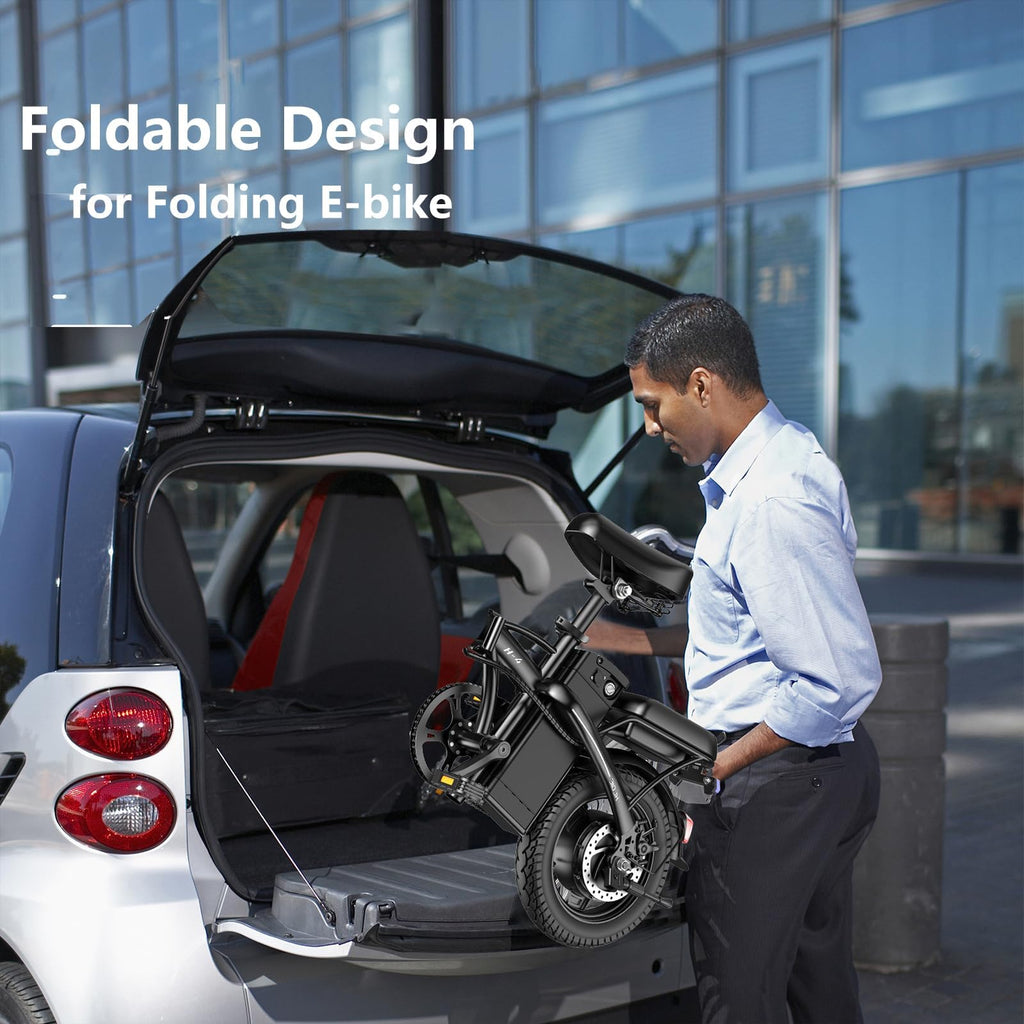 Foldable 500W Electric Bike C2089