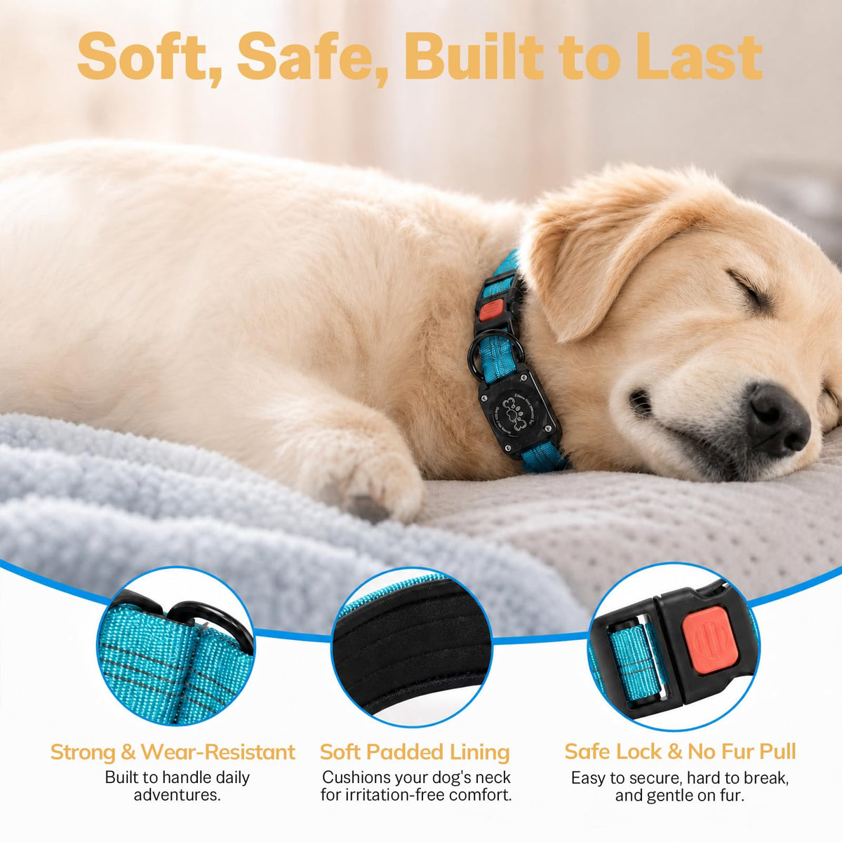 Blue IP68 Waterproof Reflective Dog Collar with AirTag Holder C34349