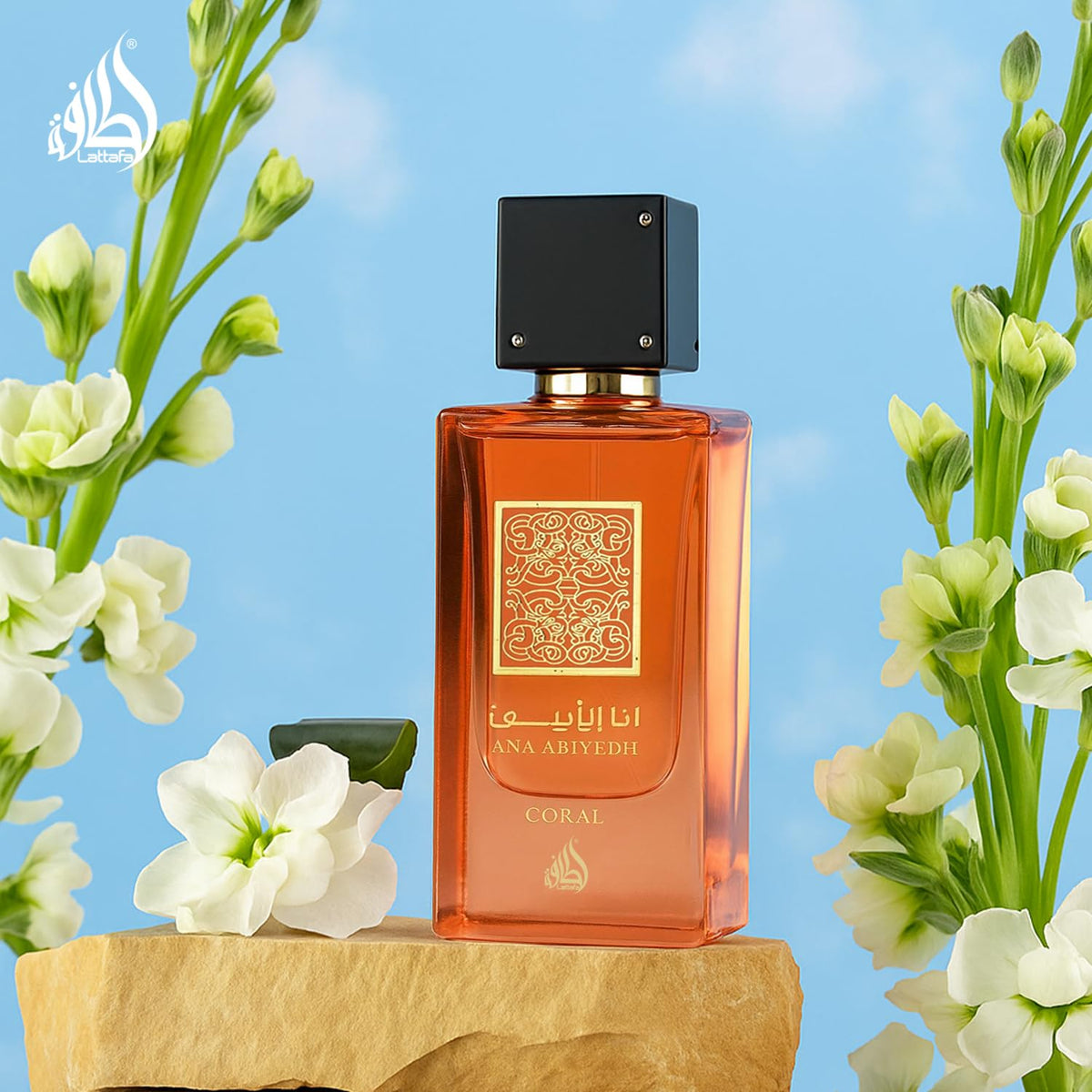 Eau de Parfum Spray 2.0 Ounce B75791
