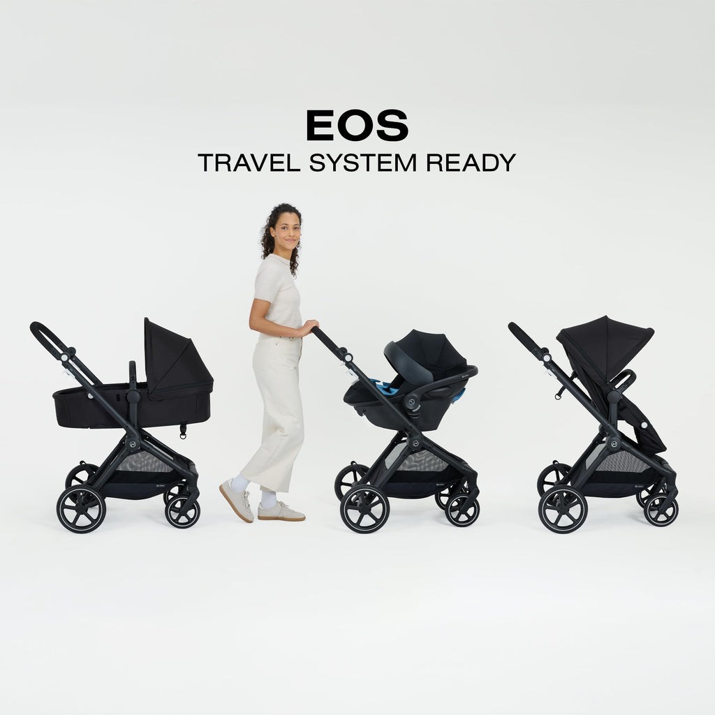 2-in-1 Baby Stroller Z206
