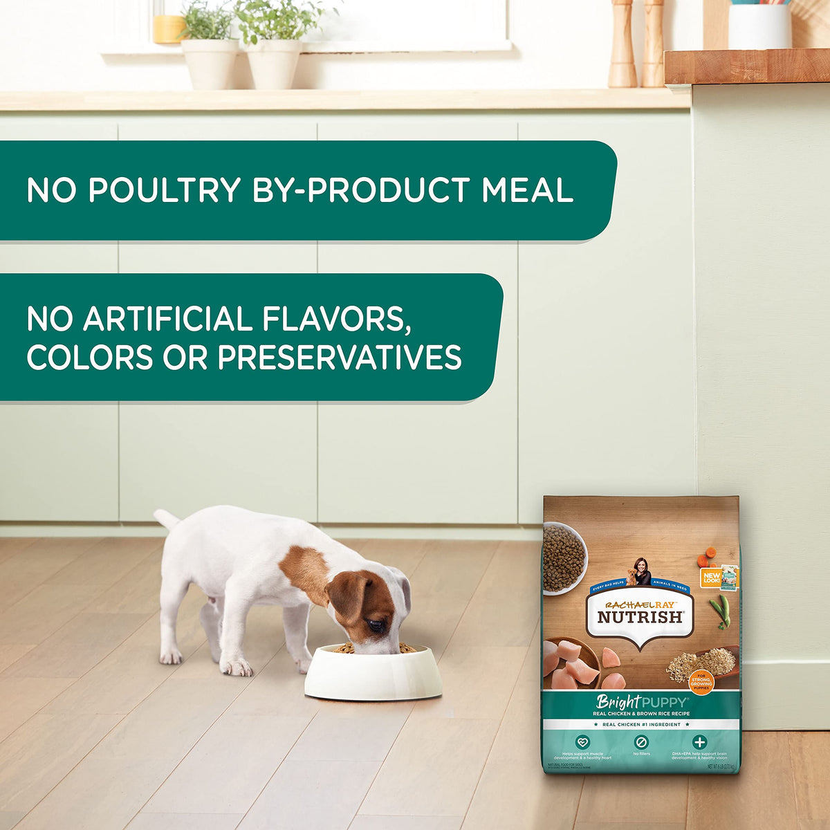 Chicken & Brown Rice Dry Dog Food 14 lb. Bag Y898