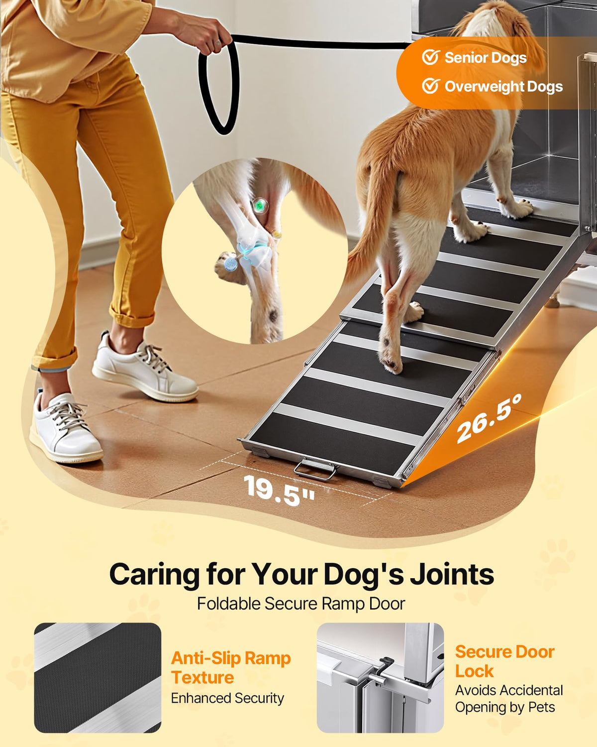 50 Inch 304 Stainless Steel Dog Bath Tub with Ramp X6856