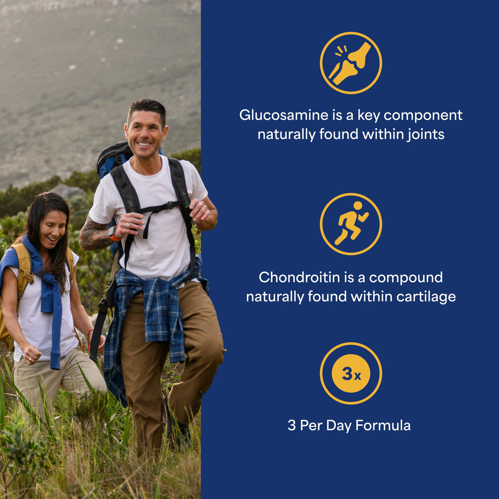 Glucosamine Chondroitin MSM Dietary Supplement I245993