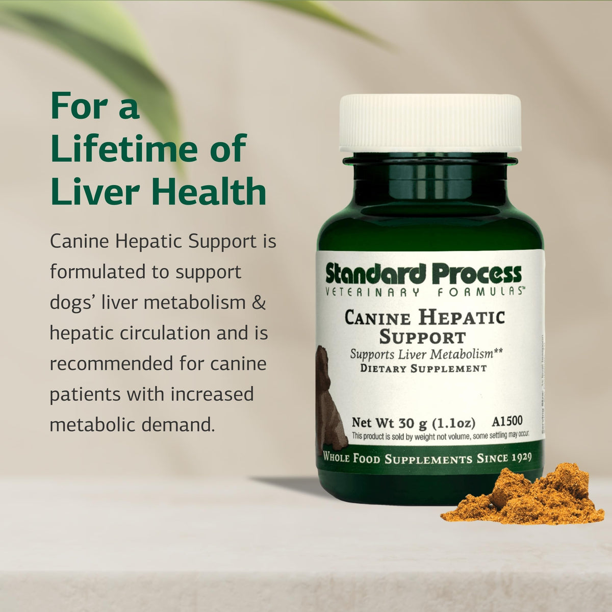 Canine Hepatic Support 30 g R5238