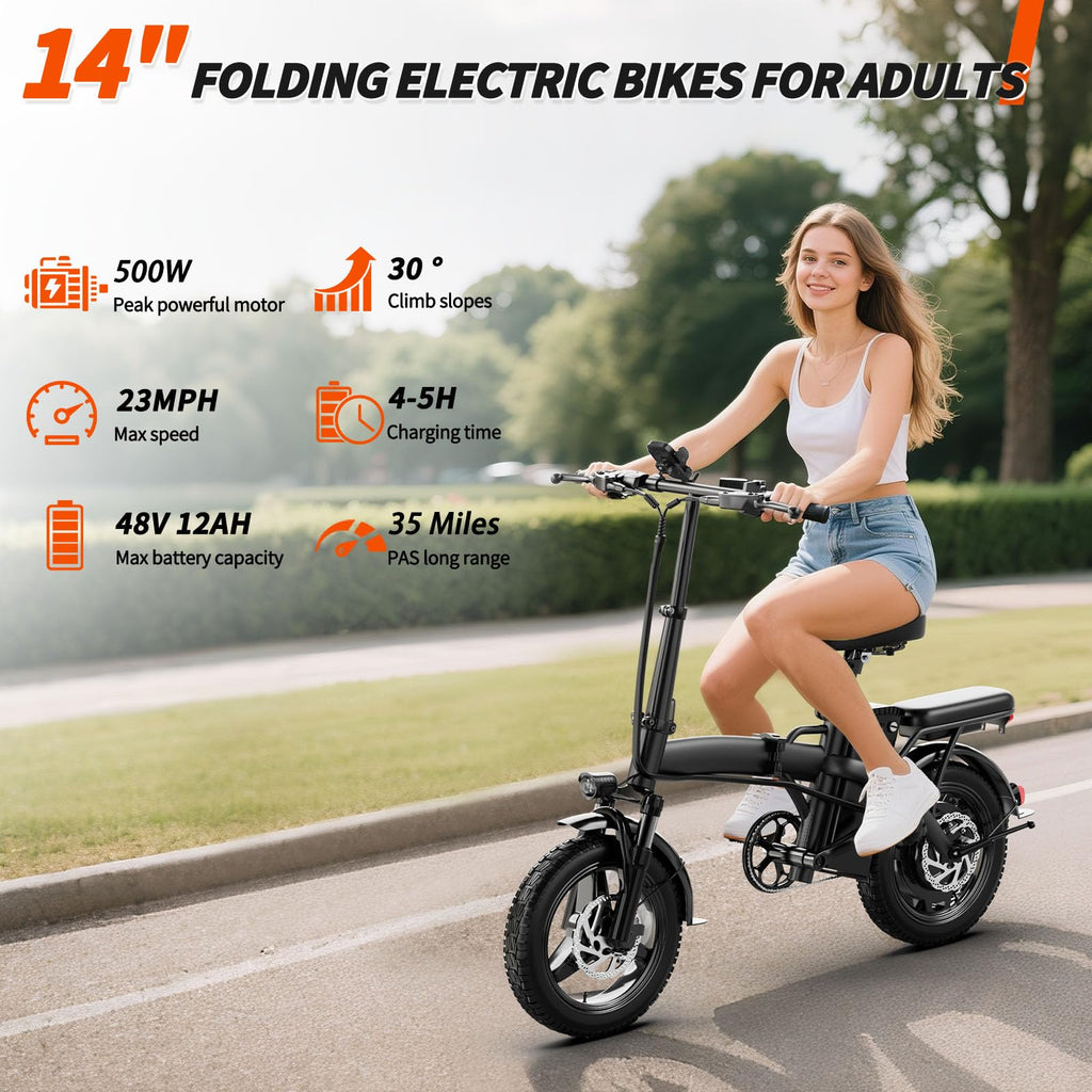 Foldable 500W Electric Bike C2089