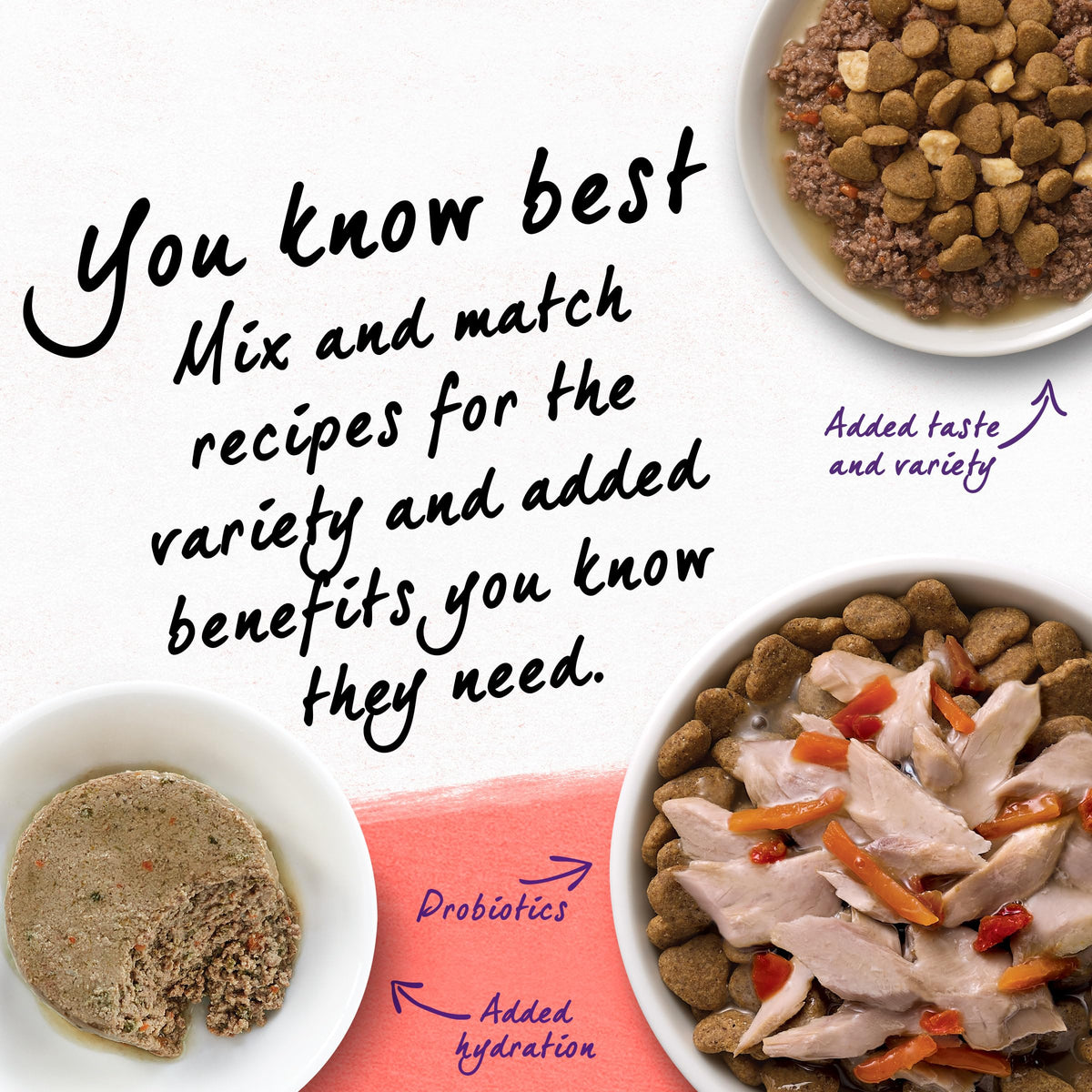 Grain Free Dry Cat Food Salmon, Egg and Sweet Potato Recipe 11 lb. Bag L502495