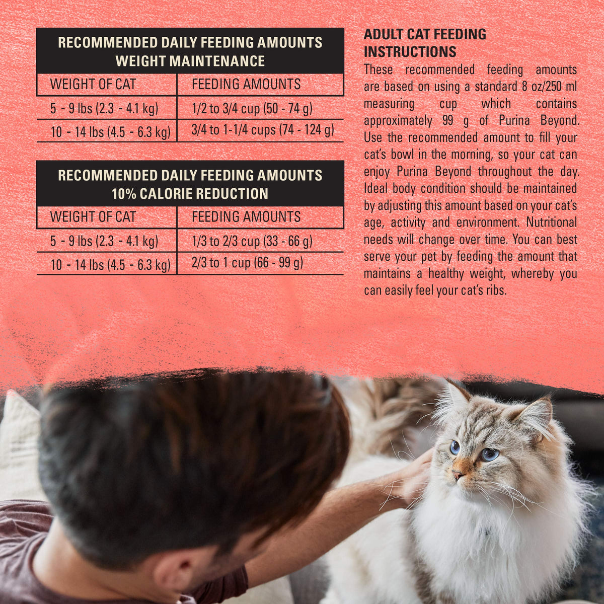 Grain Free Dry Cat Food Salmon, Egg and Sweet Potato Recipe 11 lb. Bag L502495