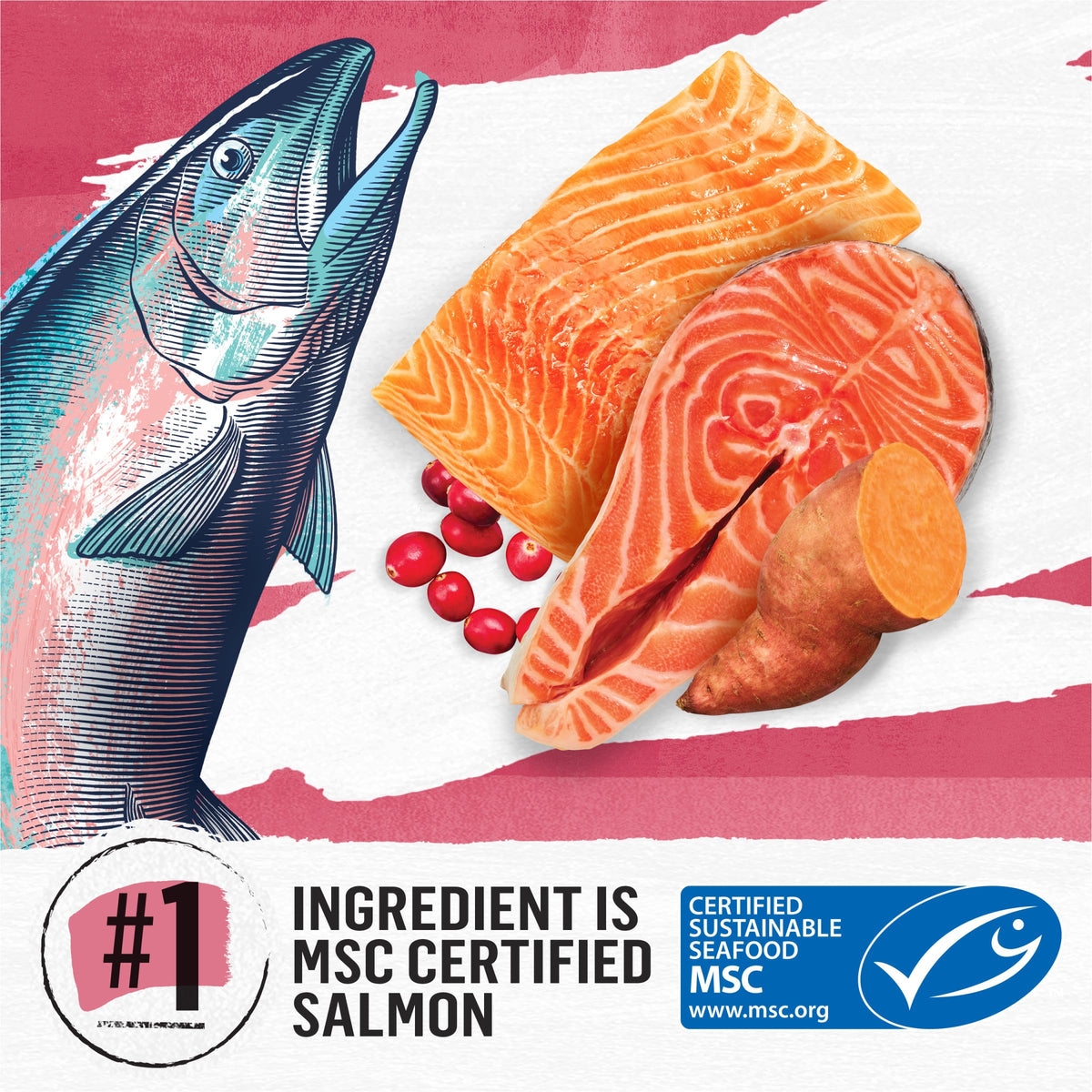 Grain Free Dry Cat Food Salmon, Egg and Sweet Potato Recipe 11 lb. Bag L502495