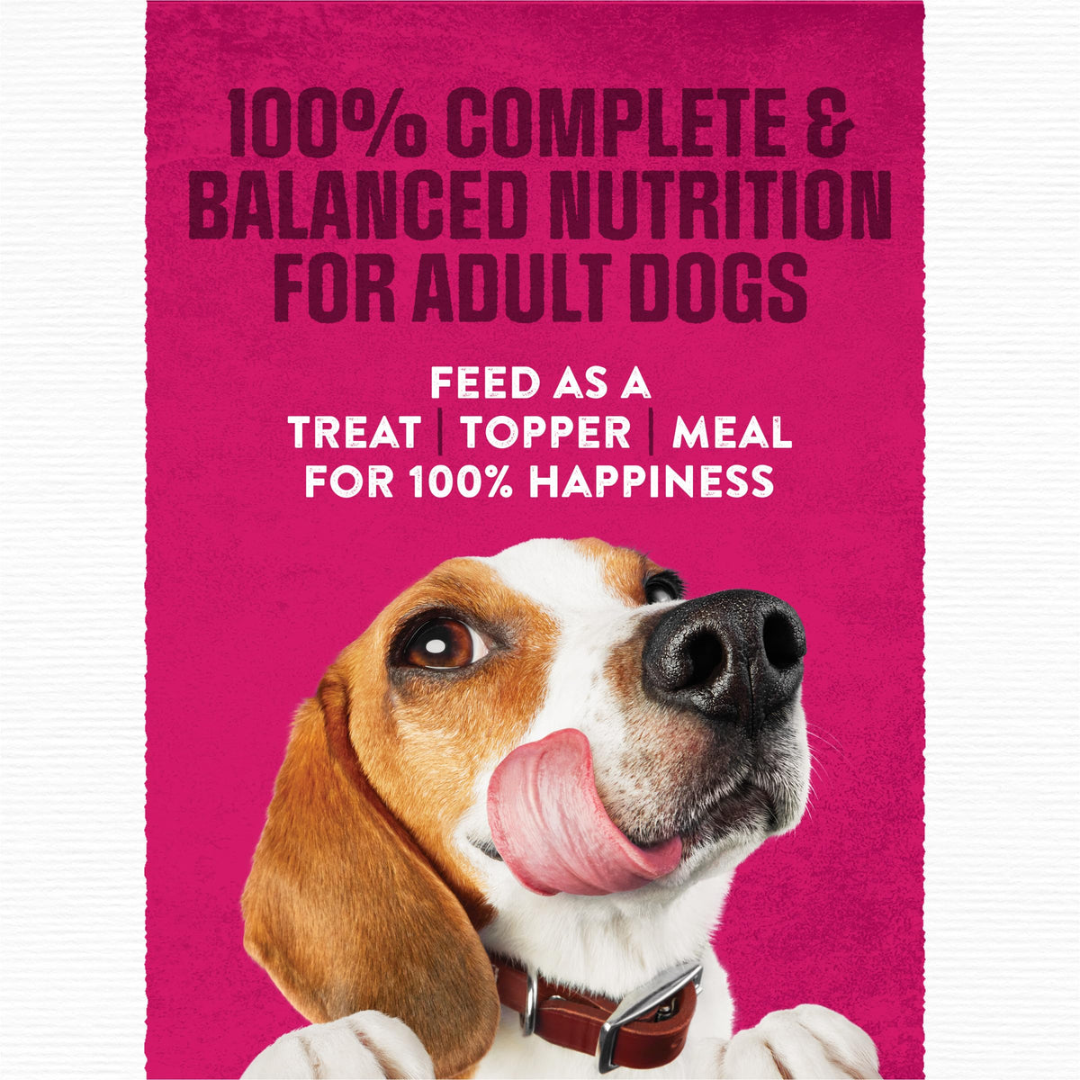 Moist & Meaty Soft Dog Food Pouches, 36 ct W7240